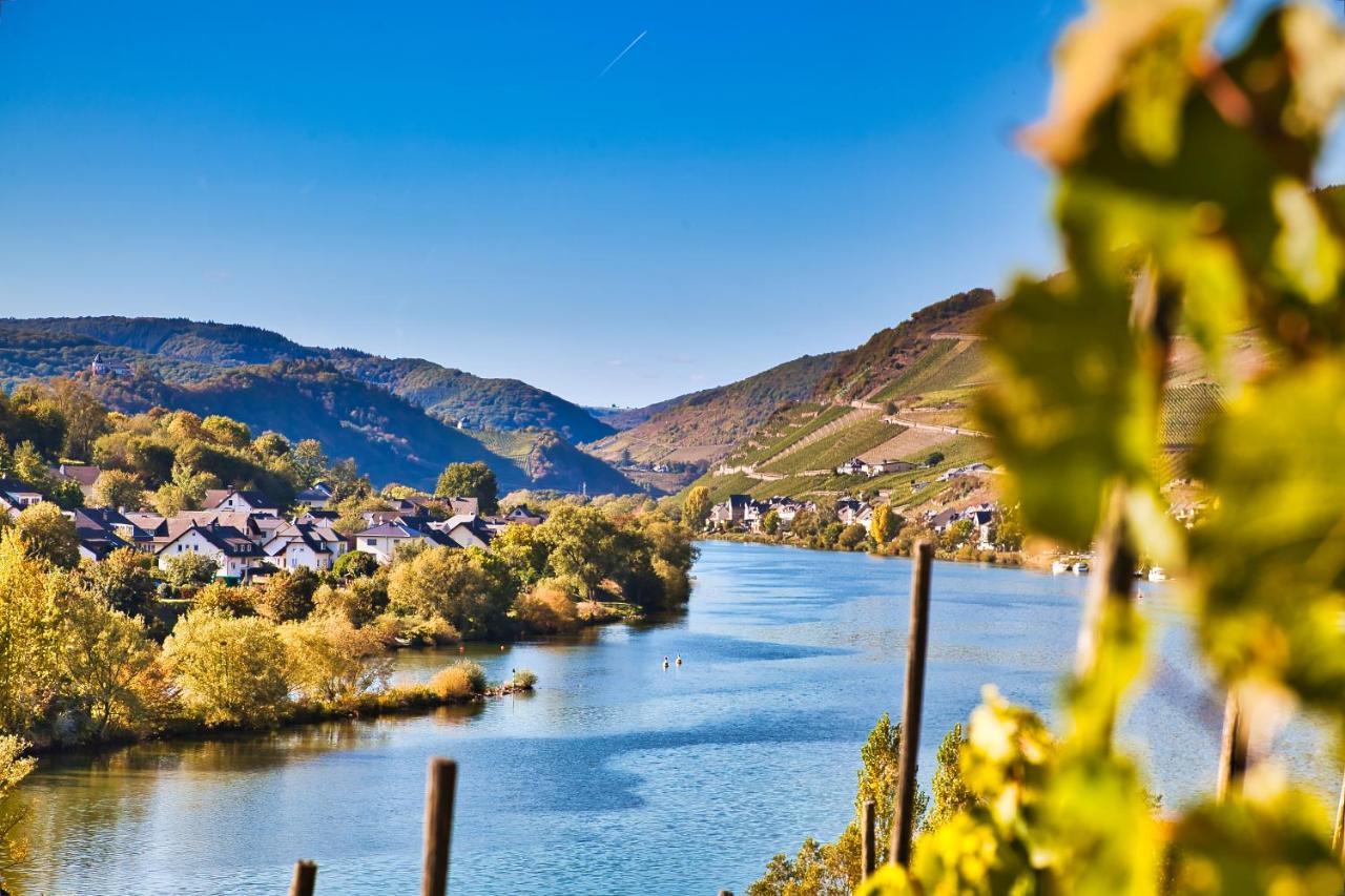 Luxus Apartments Mosel-Zeit Neu 2023 Zell Eksteriør billede