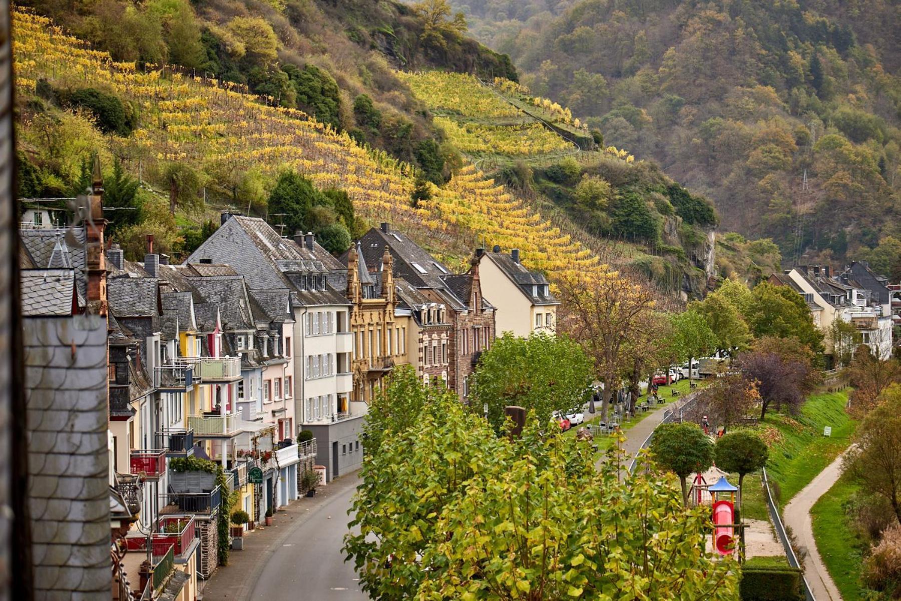 Luxus Apartments Mosel-Zeit Neu 2023 Zell Eksteriør billede
